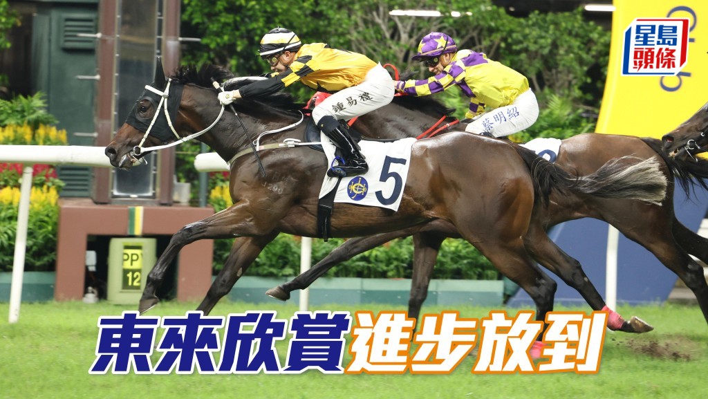 「東來欣賞」進步放到