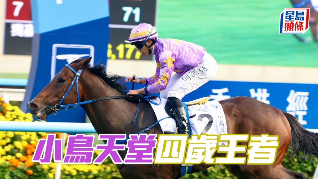 「小鸟天堂」四岁王者