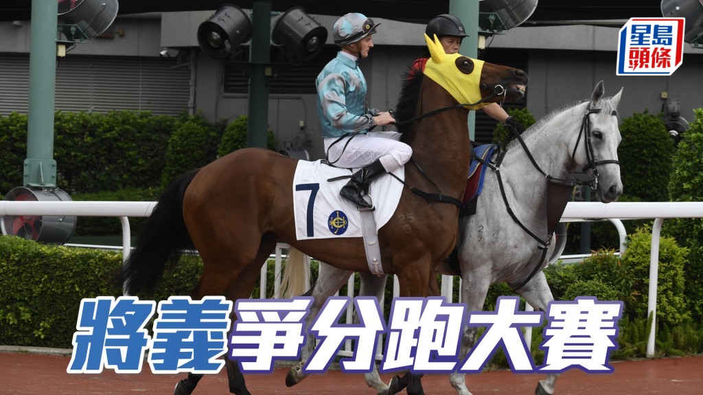 「將義」今季以四歲馬系列賽為目標，若能盡快打開勝門，出線機會更高。