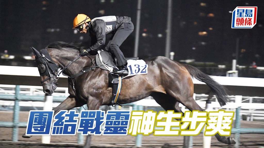 「團結戰靈」目光銳利充滿朝氣，有進無退好吸引。