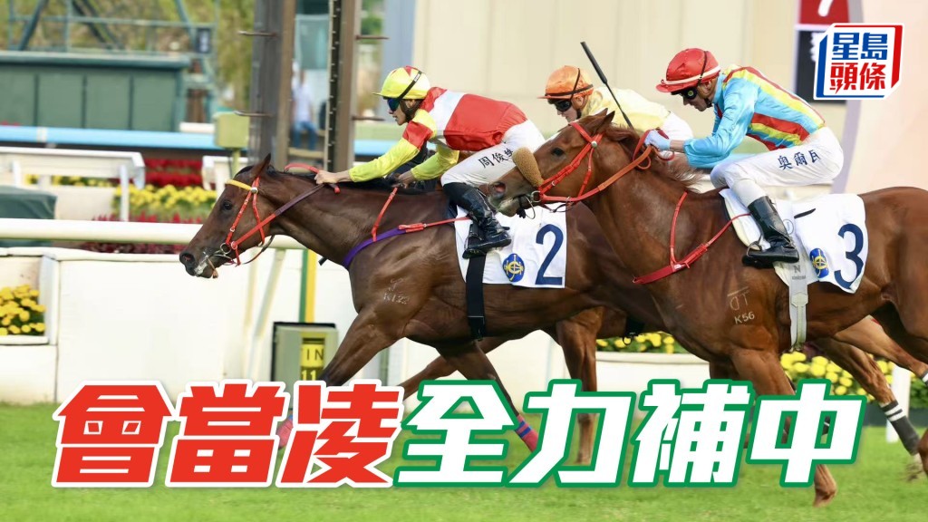 「会当凌」(图) 因罕见事件而痛失一场宝贵头马，非常可惜，今次卷土重来，相信幕后都希望顺利补中。