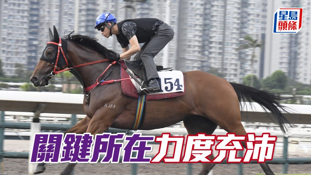 「關鍵所在」馬身壯全身肌肉，一直見好神態軒昂。