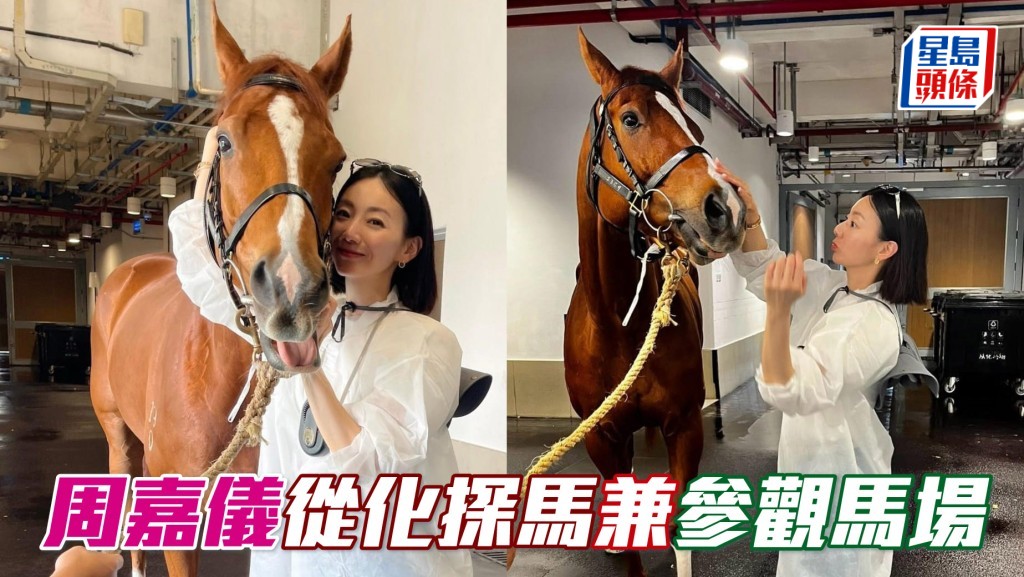 周嘉仪从化探马兼参观马场 相片来源：周嘉仪IG
