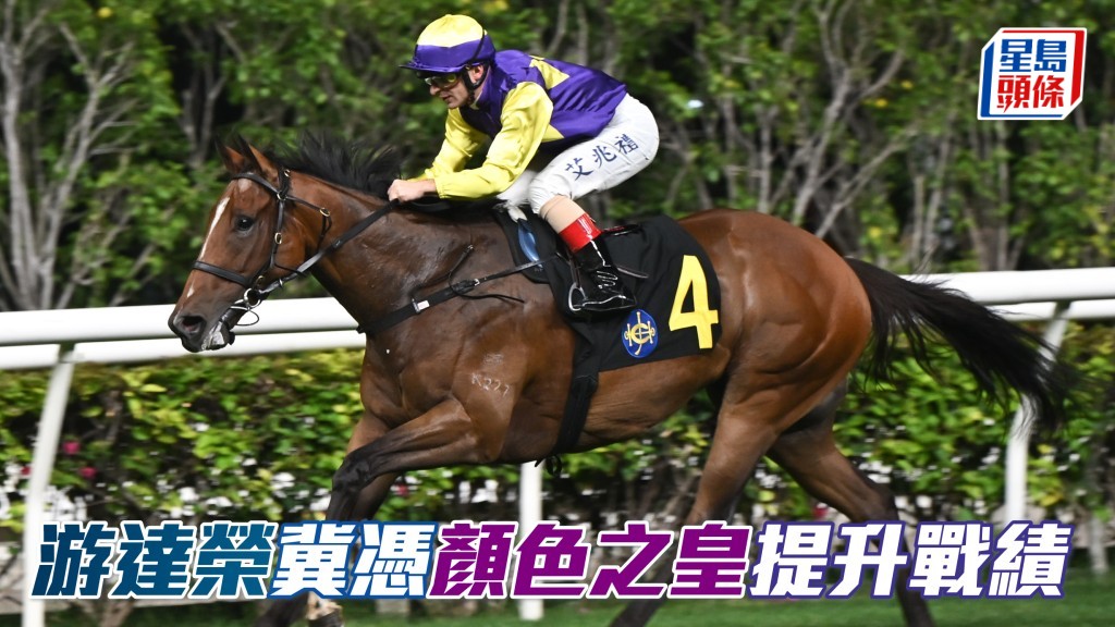 游達榮冀憑「顏色之皇」(圖) 提升戰績, 「浪漫勇士」試閘展佳態。