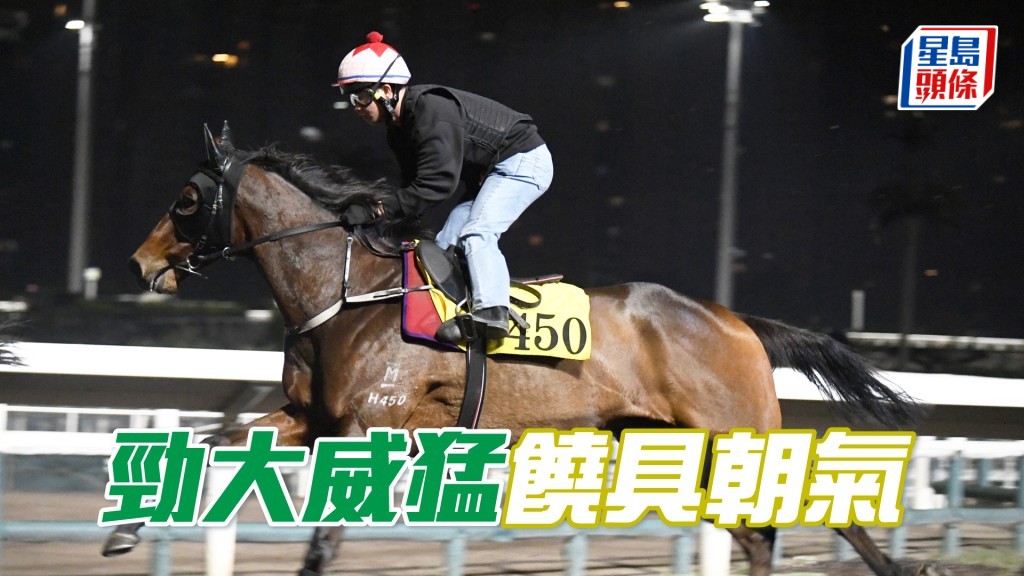 「勁大威猛」毛色復現光澤，確認全面回勇。