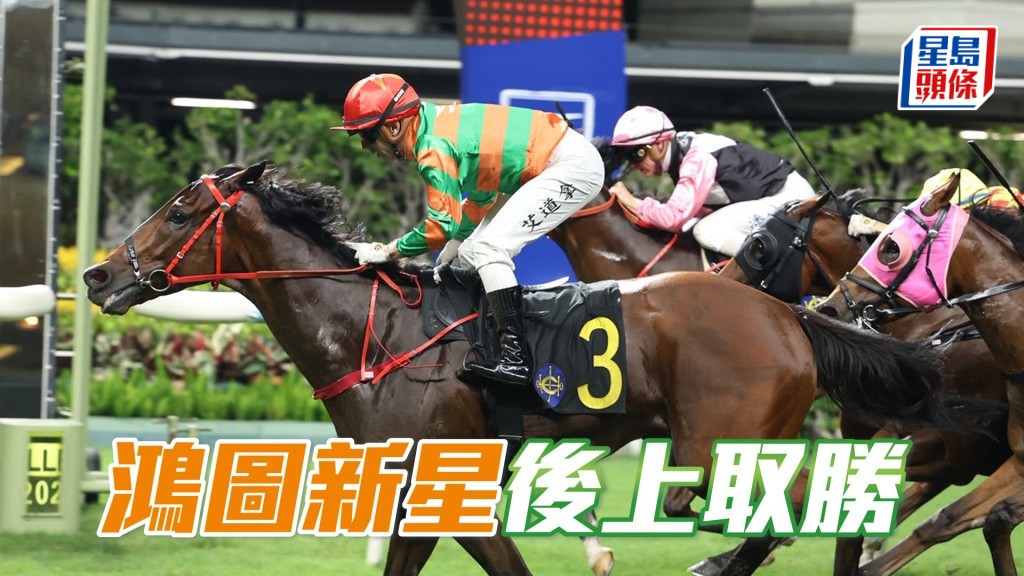 「鴻圖新星」後上取勝