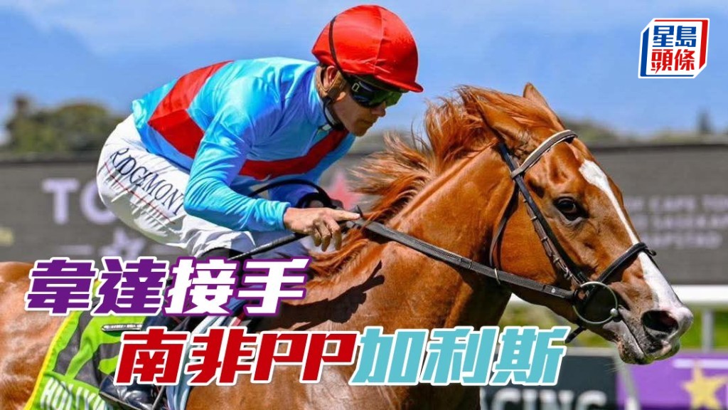 馬場浮世繪｜南非三級賽盟主「加利斯」 運港由韋達訓練。圖片來源：Chase Liebenberg Design & Photography