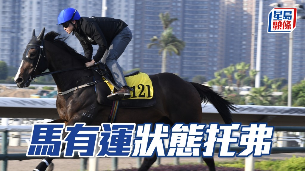 「馬有運」淡淡定充滿朝氣,出腳步大輕爽有勁。