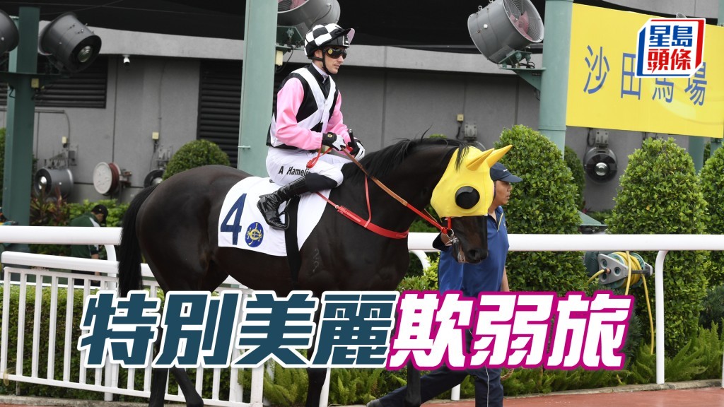 「特別美麗」今場對手明顯較弱，且看轉倉首戰能否建功。