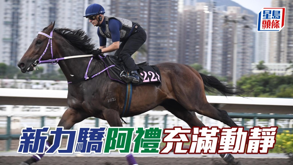  艾兆禮決心爭取佳績，昨朝分外積極，六點已到場，全朝匹上匹落操馬多匹，而為「新力驕」出跳更是焦點，除了之後到烽火台搵蘇偉賢傾談，此駒是這天少有由騎師親試的偉廄馬。