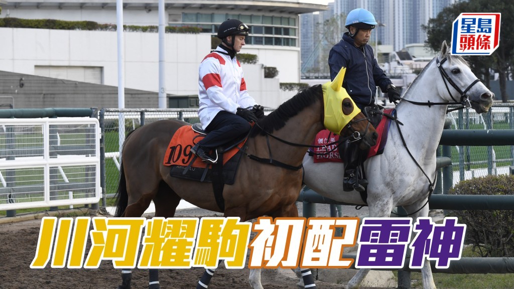 「川河耀驹」初配莫雷拉