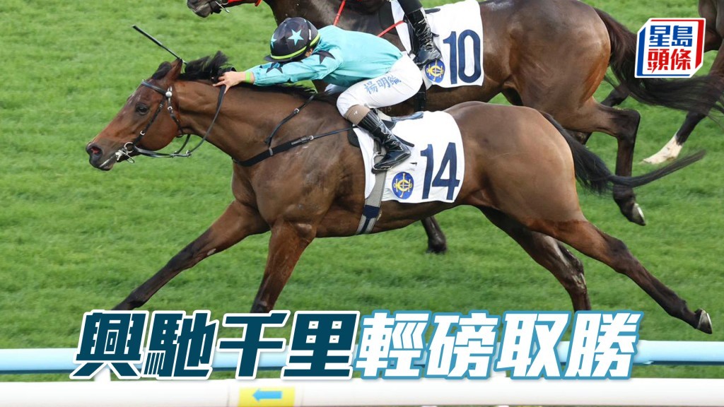「興馳千里」輕磅取勝
