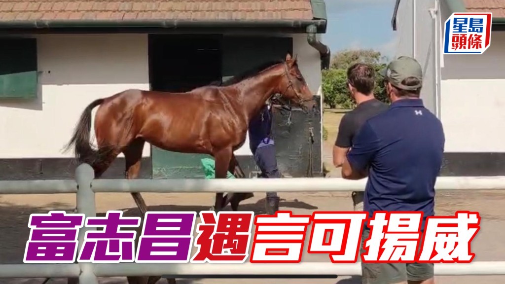 富志昌對「再度遇見」(圖) 今仗贏馬充滿信心。