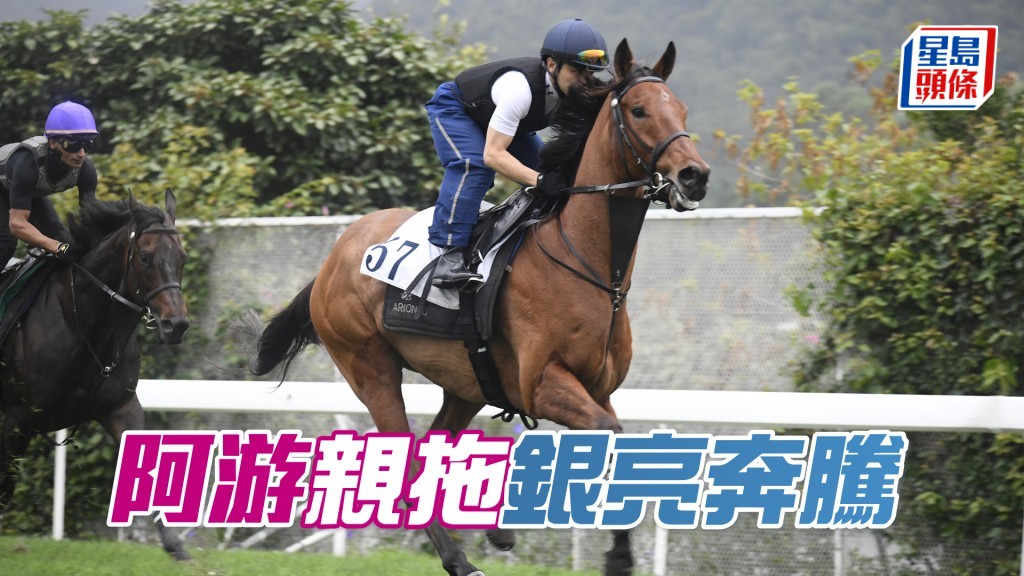 「銀亮奔騰」今朝慢跳見游達榮跟出跟入，課後親自拖實。