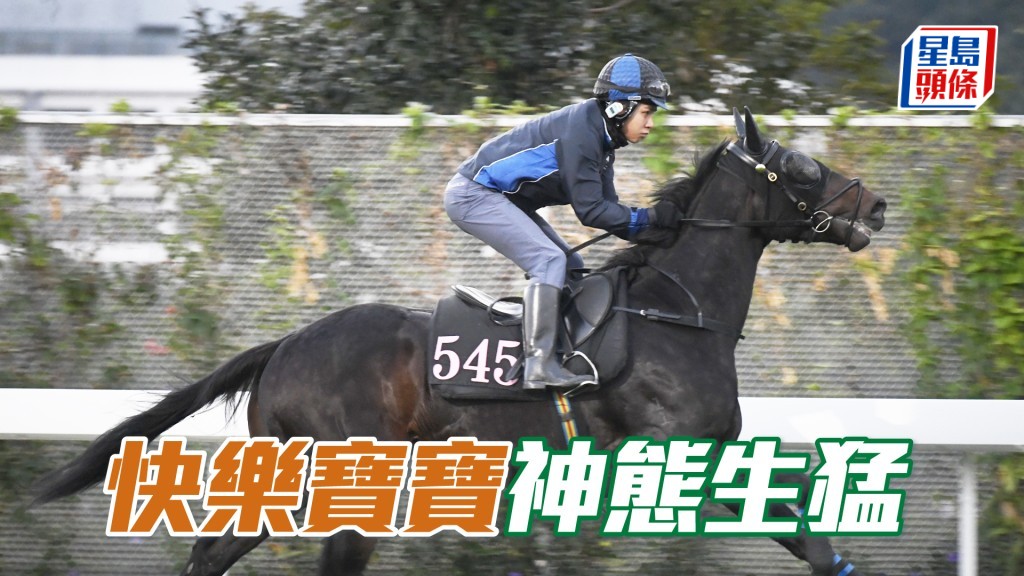 「快樂寶寶」心火旺盛馬身好靚，前所未見吸引。