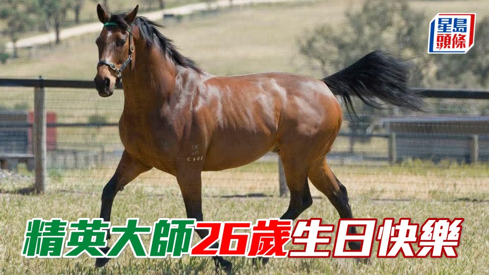 香港傳奇馬王「精英大師」(圖) 現時在澳洲Living Legends頤養天年，今天是牠二十六歲生日，也是此馬馬主施雅治太太Betty的生日。