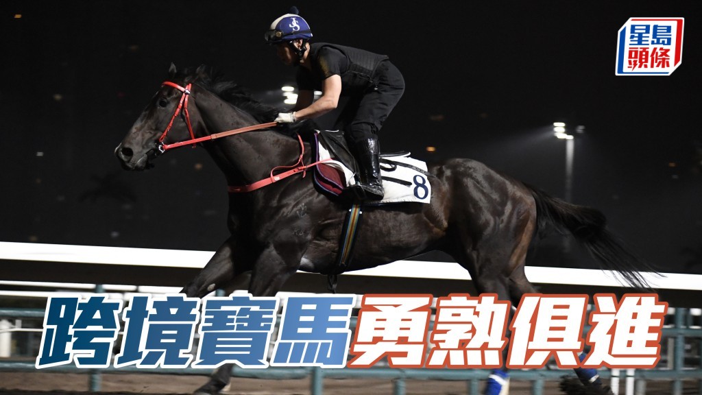 「跨境寶馬」近日愈見淡定快慢由人，步挺利落力度又夠，勇熟俱進。