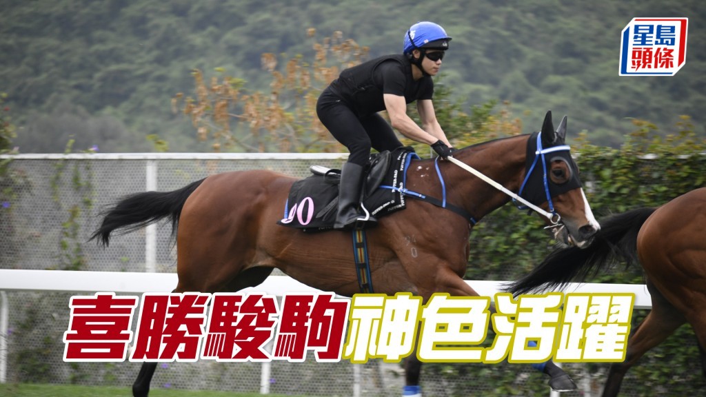 「喜勝駿駒」活力展現，進度愈見出色。