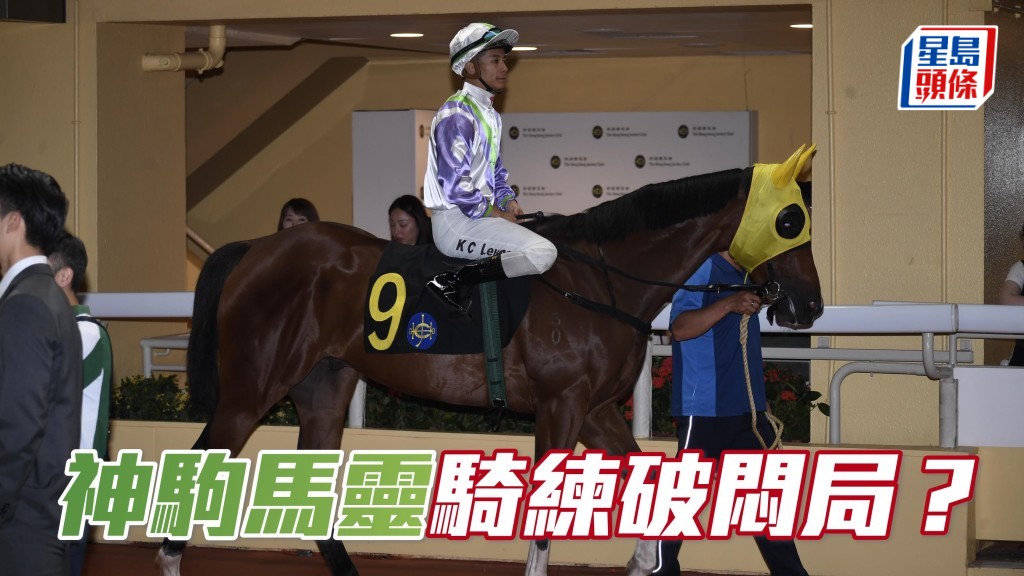 伍鵬志開倉後與梁家俊合作未勝，今次二人合作「神駒馬靈」(圖) 及「盈妍威楓」周三成績如何？