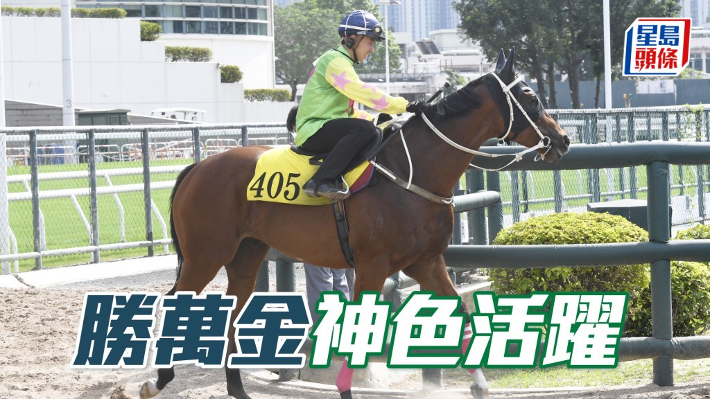 「勝萬金」步伐穩健力度唔錯，狀態未見走樣。