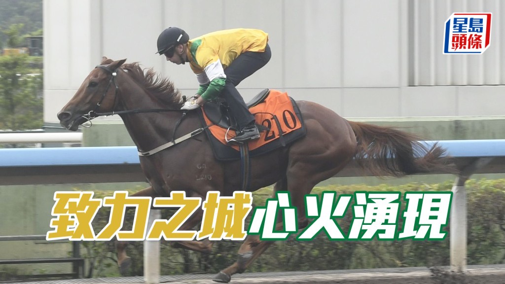 「致力之城」走勢硬朗力度充裕，全朝最吸引之馬。