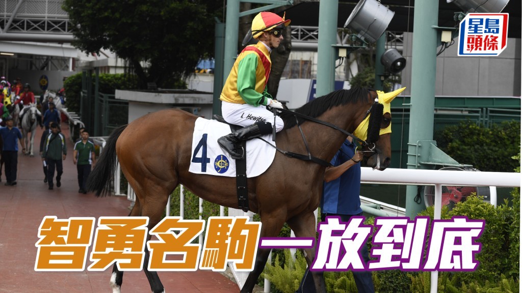 「智勇名駒」今仗加眼罩，希望可更集中，快馬不多或能一放到底。