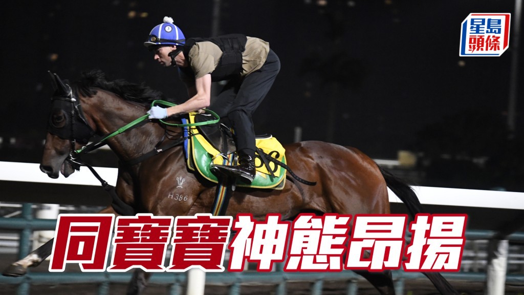 「同寶寶」神情專注目光如炬，勇態保持有餘。