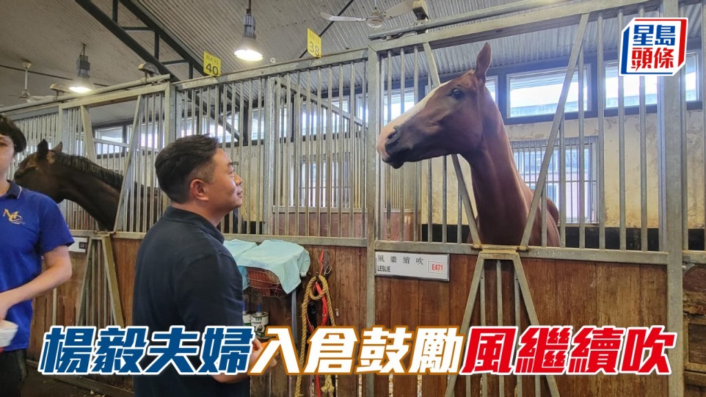 早前楊毅入倉餵「風繼續吹」吃紅蘿蔔，馬兒表現得十分雀躍，不斷點頭，獲得主人的鼓勵，或可交出驚喜的演出。