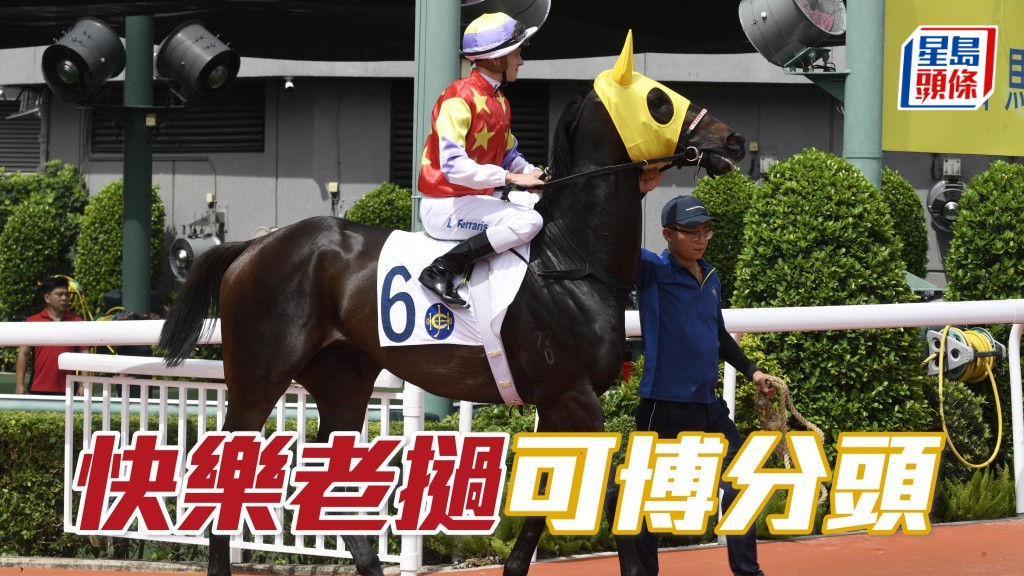 「快樂老撾」(圖) 雖然排檔較差，但比對同場兩匹熱門馬「銳一」及「綫路萬里」，都是跑法被動或者同樣檔劣，故敲更有分頭的「快樂老撾」。