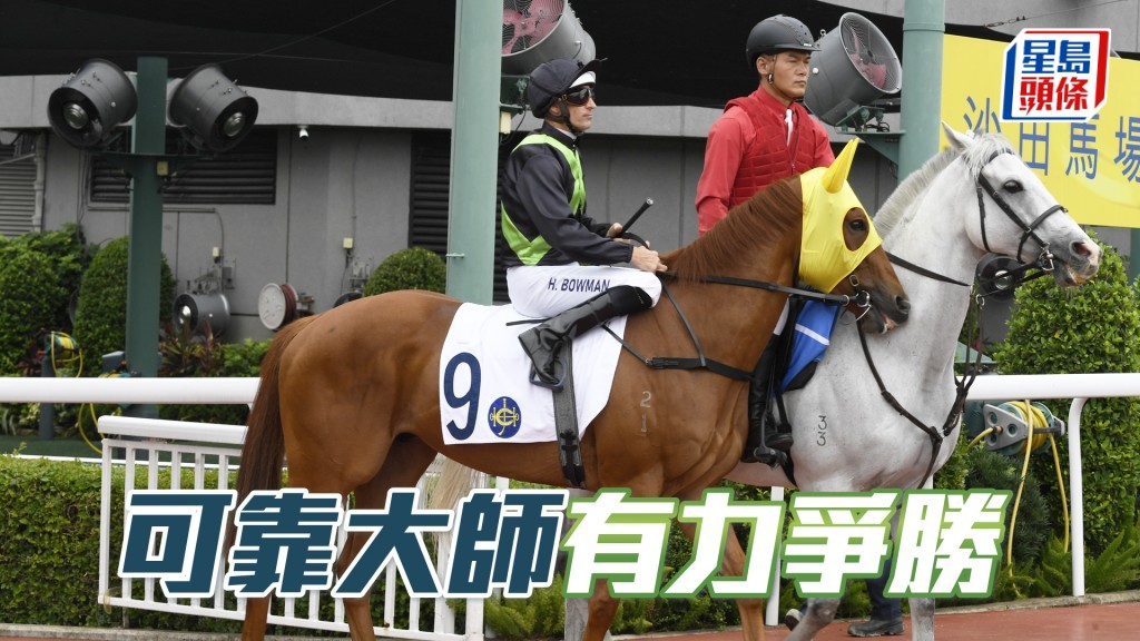 「可靠大師」明晚將出爭谷草第五場四班千二米賽事。