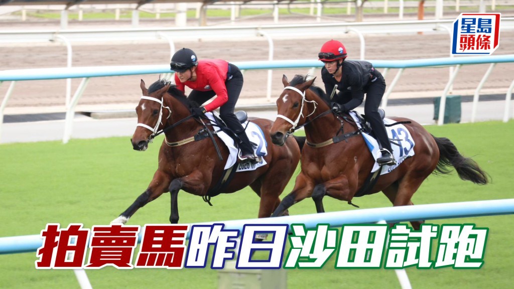 馬場浮世繪｜拍賣馬昨日沙田試跑
