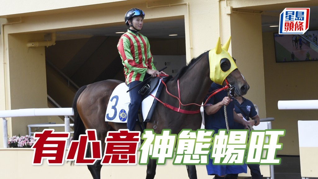 「有心意」暗火展現身又靚，朝氣勃勃論態出色。