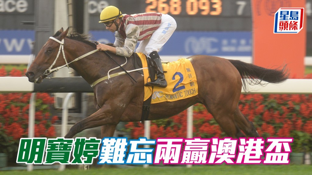 「醒目名駒」曾連續三年往澳門爭澳港盃並連贏兩屆，令明寶婷尤其難忘。
