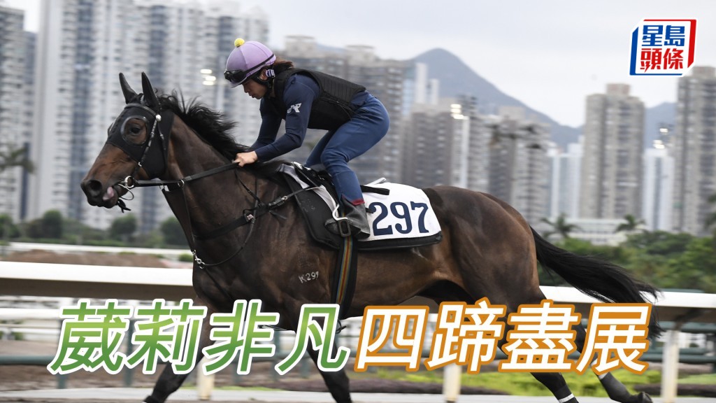 「葳莉非凡」身壯呈現條線美，進度相當不俗。