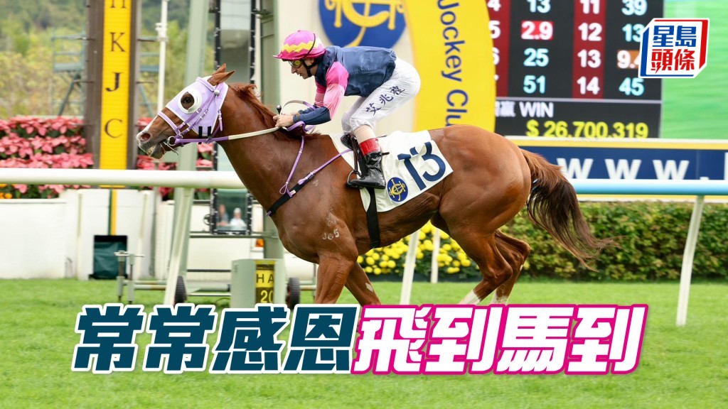 「常常感恩」飛到馬到