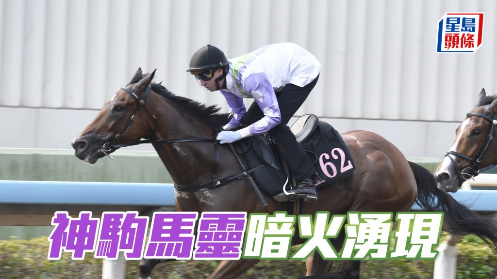 「神駒馬靈」運步如輪神采奕奕，力度充足有進無退。