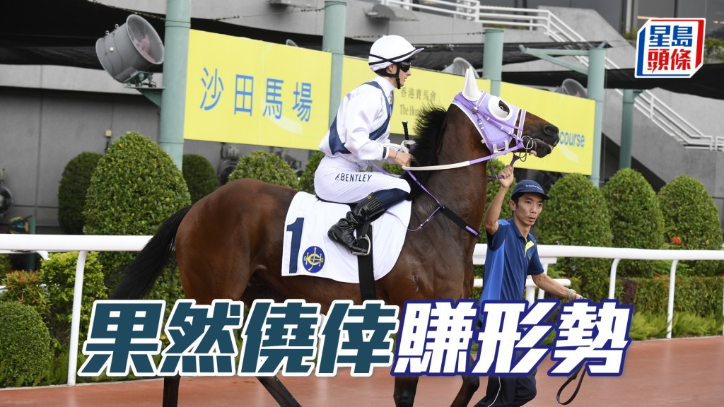 「果然侥幸」赚形势