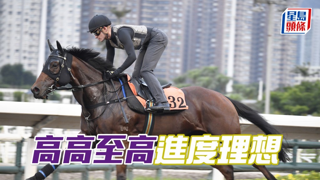 「高高至高」馬身收得壯，神色吸引力度一課課增強。