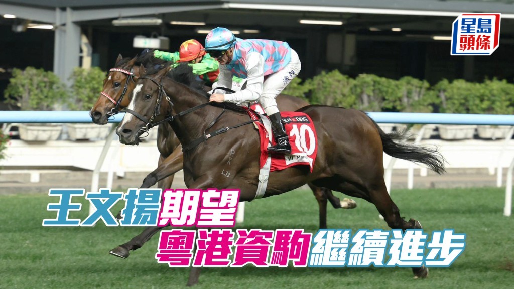 「粤港资驹」明晚将出争第八场三班千二米。
