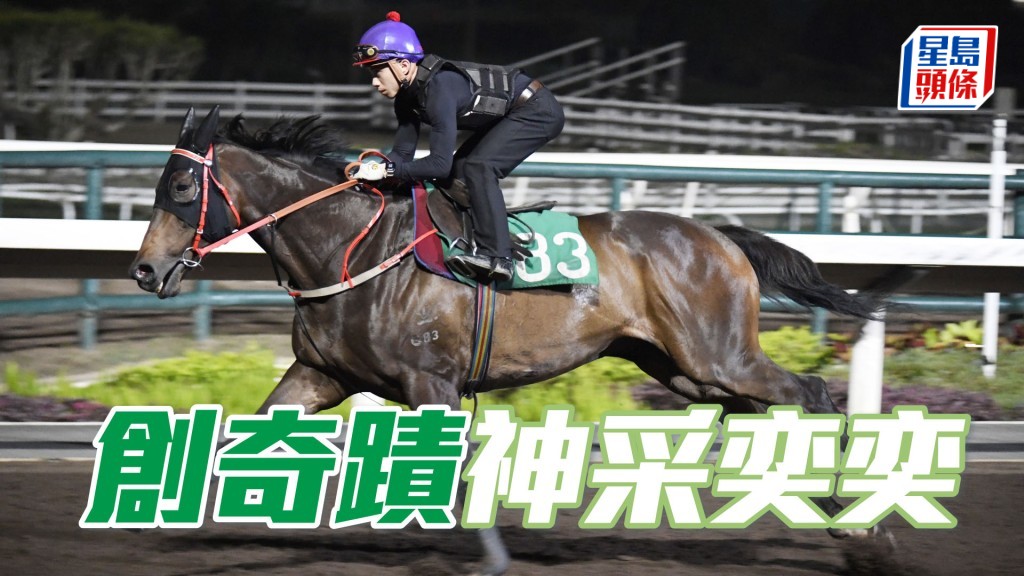 「創奇蹟」助手踱一圈，神采奕奕暗火展現，觀感不遜贏馬時。