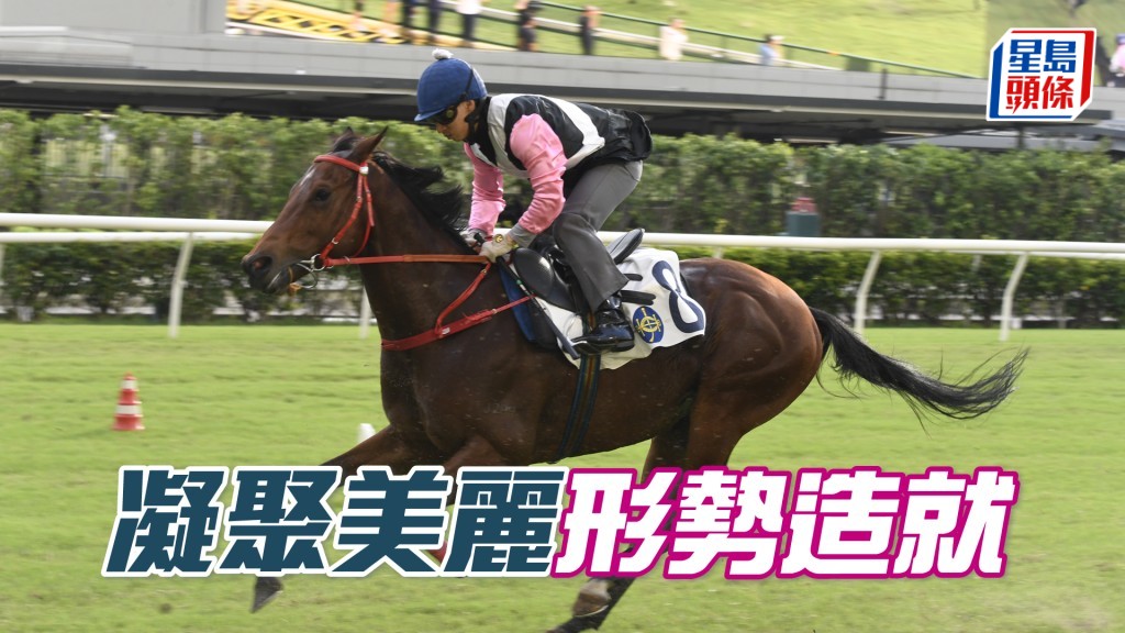 「凝聚美丽」今仗可望留守马群之中，末段伺机而动，有力破闷局。