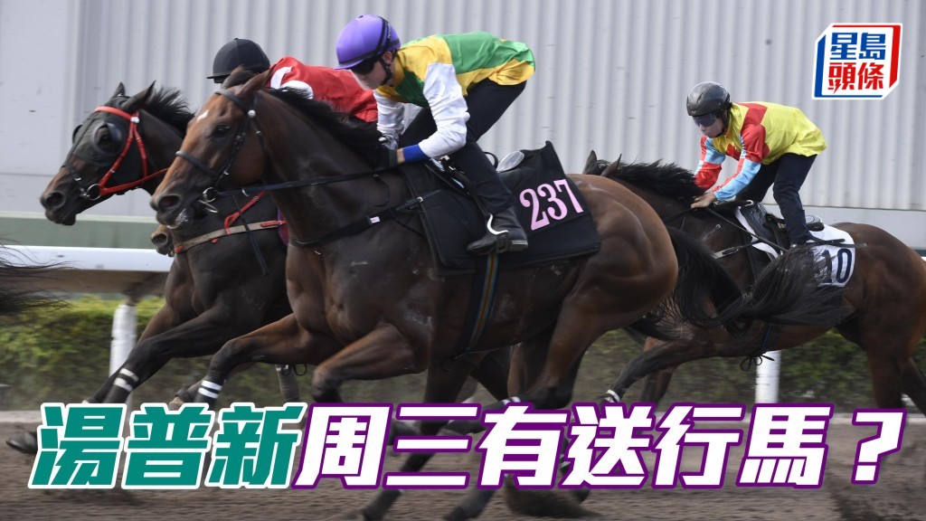 「勇霸龍」(圖) 今季演出準繩,今場列陣第九場,有機會成為湯普新送行馬。