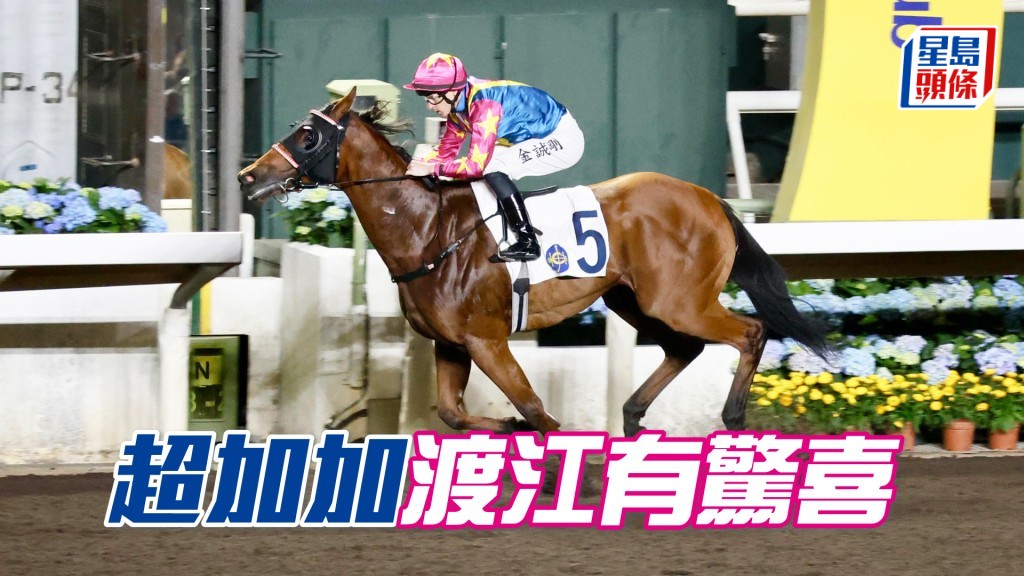 「超加加」初战跑马地，史佩加希望马儿跑谷草胜任，再次交出惊喜。