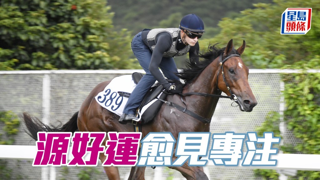 「源好運」直路增速反應甚佳，步順開揚神態軒昂。