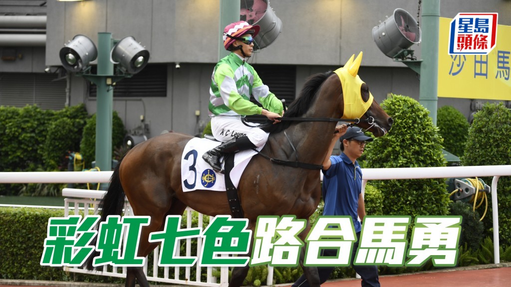「彩虹七色」今戰強勢再來路合馬勇，坐正在望了。
