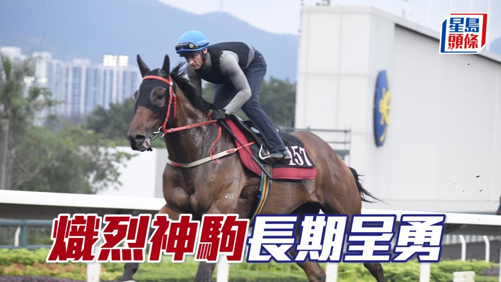 「炽烈神驹」神情专注步伐稳健，力度充裕火气旺盛。