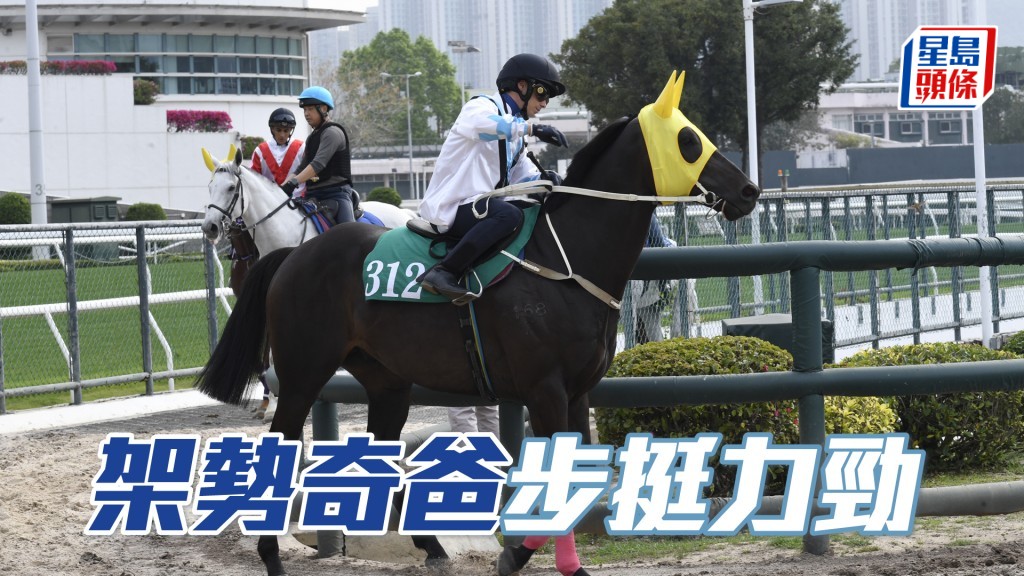 「架勢奇爸」扣住而馳心火湧現，近況出色。