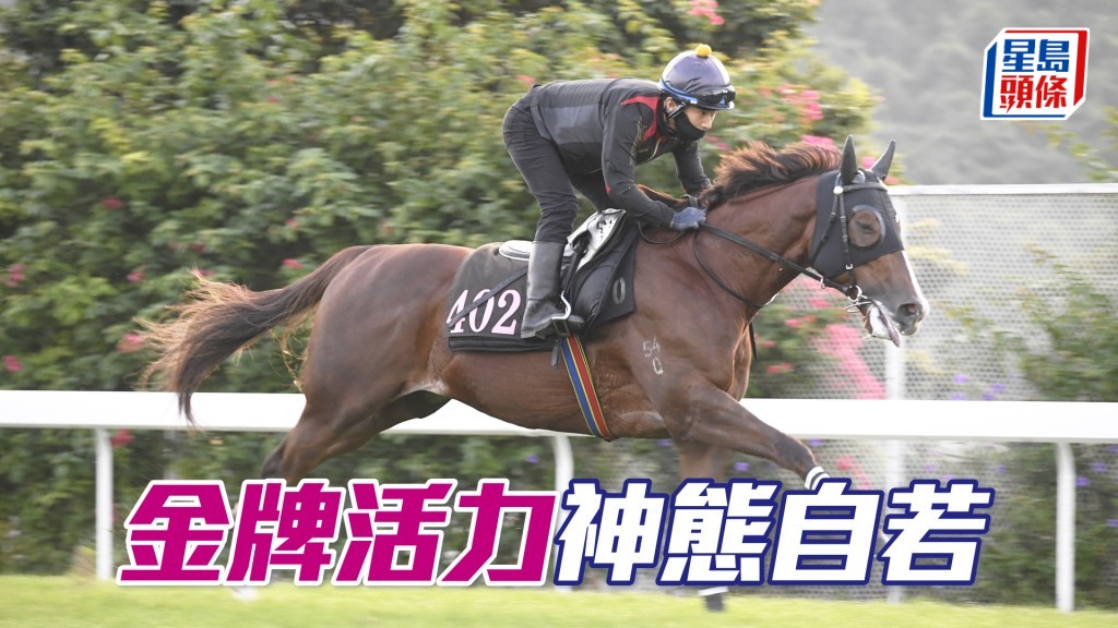 「金牌活力」身靚力度充足，轉倉操足已在勇境。