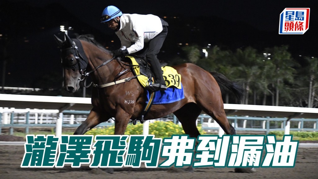 「瀧澤飛駒」埋門快跳由希威森一手包辦，狀態已在勇境。