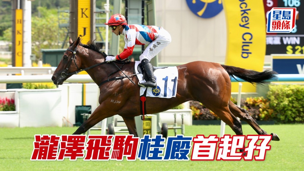 「瀧澤飛駒」桂廄首起孖